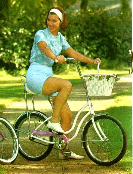 1965 schwinn fair lady