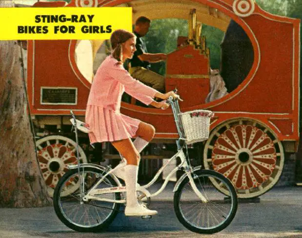 1970 schwinn stingray