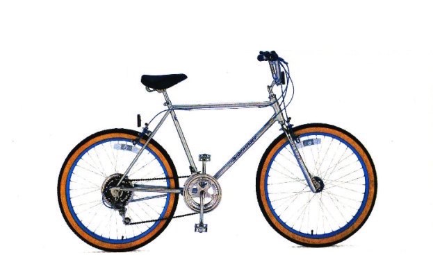 schwinn sidewinder