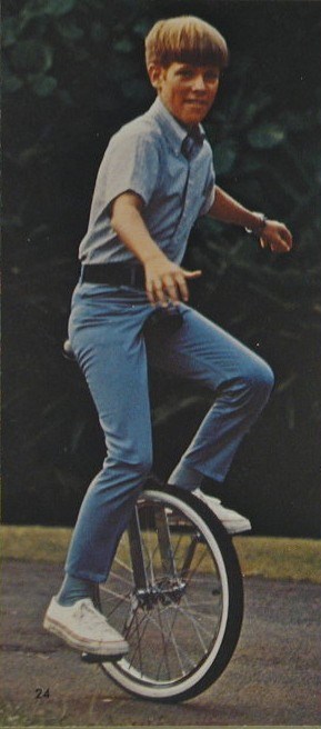 1971 schwinn unicycle