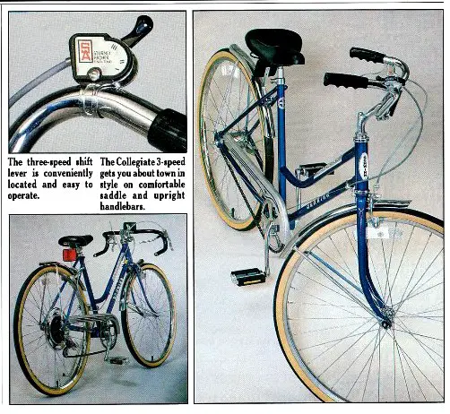 1981 schwinn 29