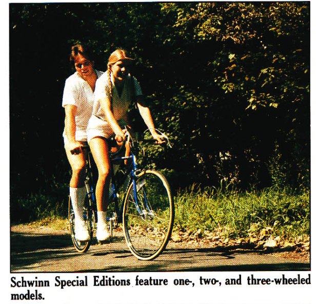 1982 schwinn 58