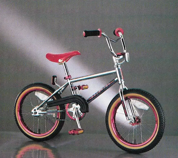 schwinn dirt bike