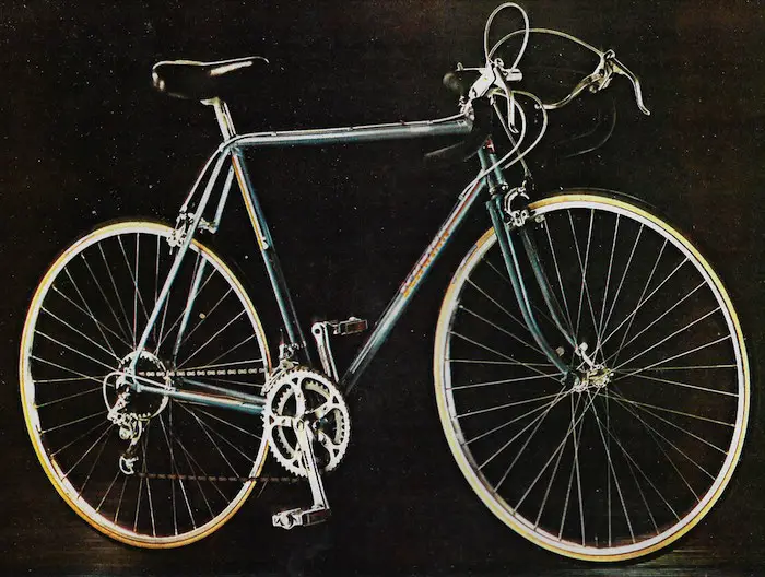 1980 schwinn traveler