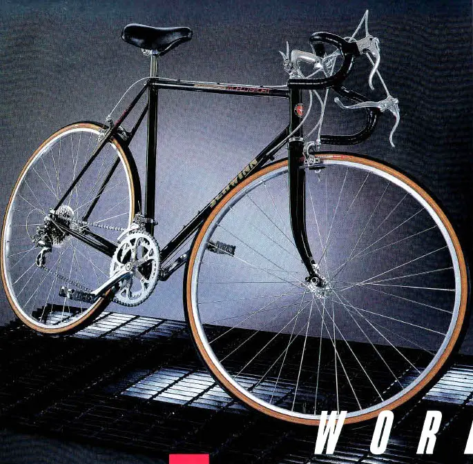 schwinn world tour bike