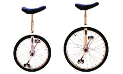 schwinn unicycle